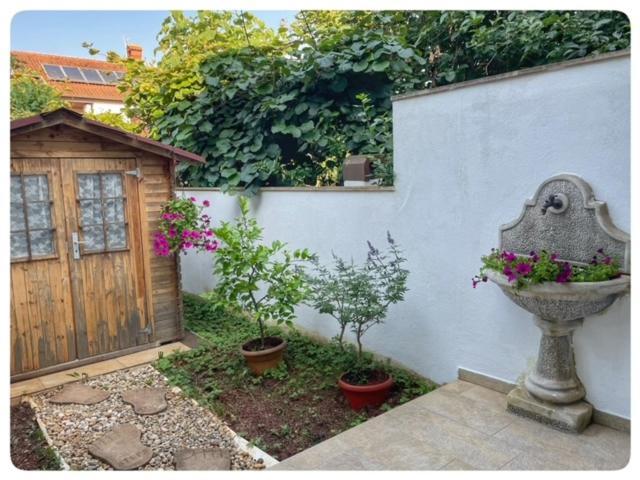 Apartman Sorgo Apartment Замбратия Екстериор снимка